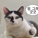 고1 자퇴하고 정시할까 <b>복학</b>할까