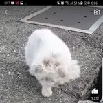 [댓글부탁해] 알고리즘타고 들어간 구조 유튜브 ㅈㄴ이상해...