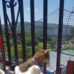 하 우리아빠 <b>카스</b> 구경하는데
