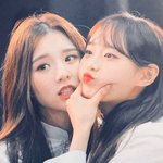 비건에 관심있다고 한 <b>이달소</b>