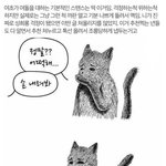 김가람 욕하는 사람 대부분