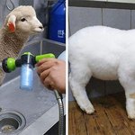 기분 좋아지는 <b>청소</b> 사진