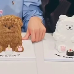 동물 케이크를 대하는 F와 T의 차이.svt