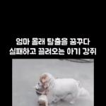 너 <b>일루</b> 와봥ㅋ