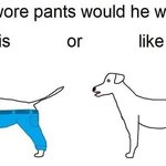 강아지가 바지를 입는다면? (<b>ft</b>, 엔드림)