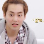 시우민 멸치 똥따기 <b>부업</b>ㅋㅋㅋㅋㅋㅋ