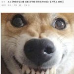 [NCT드림] <b>작년</b>에 애들이 라디오에서 했던 말 생각난다