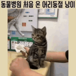 <b>재업</b>) 나 유치원 때 사진ㅎㅎ