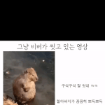 뜨또 목욕신.<b>gif</b>