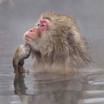 [댓글부탁해] <b>졸사</b> 하이틴 별로임???ㅈㅂ