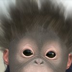 인스타 <b>필터</b> 원숭이 이거 머야