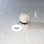 [드루와] 섭웨 최애 변화 과정