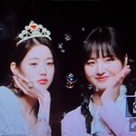 장꾸<b>즈</b> 둘다 되게 마른듯