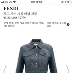 [댓글부탁해] <b>펜디</b> 저렴이 브랜드 없나??