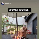 <b>민윤기</b> 인스스