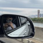 [NCT칠프] 콧대 <b>살벌</b>하다