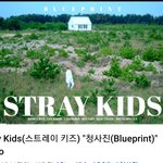 [스키즈] Blueprint