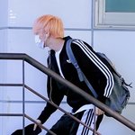 <b>아디</b>브레이크 유행 안 탐??