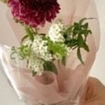 선물하려고 꽃집에 갔는데 꽃집 사장이 <b>하얀색</b> 카네이션을 주셨어요