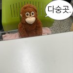 [댓글부탁해] 똥 <b>쌀</b> <b>때</b> 발 받침대 쓰는 사람???