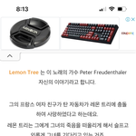 니네 <b>레몬</b> 트리 가사 의미 알앗냐