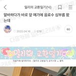[드루와] 우울할때마다 꺼내보는 웃긴짤<b>모음</b>