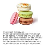 [드루와] 요즘 마카롱 유행 죽은 것 같지 않냐