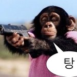 [드루와] 이거 뭐라고 답장하냐 ㅋㅋㅋ