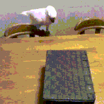 재수 하면 개망하는 애들 특징 ㅋㅋ