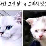 [방탄소년단] 이거 윤기 <b>화장</b> <b>전</b>,후 같아ㅋㅋ