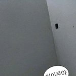 [댓글부탁해] 너네 <b>아라</b> 색깔 머임??