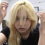 이런게 가을<b>뮤트</b> 느낌 맞음?