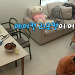 나혼산에 나온 에어컨 논란