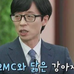 강형욱이 꼽은 유재석과 조세호를 닮은 강아지