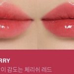 [댓글부탁해] 이거 <b>퍼</b><b>컬</b> 뭐야?