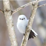 [레즈] 진짜 내 <b>짝녀</b> 너무 귀여워