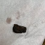 [이것좀봐줘] 강아지사료 <b>OO</b>백서 에서 나온 이물질 좀 봐쥬세요