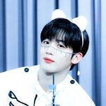 팬싸에서 페이스<b>체인</b> 다시 유행중임?