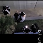 [<b>학폭</b>댓글] 천호동 공사장 뒷편 <b>학폭영상</b>