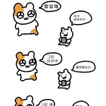 트위터 서울사람 패는거 나만 웃기냐