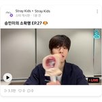 [스키즈] 므아아앙 소<b>확</b><b>행</b>