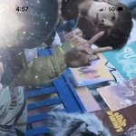 [NCT드림] 이거 <b>고양</b>인가..? 마크인가..? 뭐야 이게