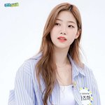 르세라핌 <b>채원</b>이가 잘나갈줄알았는데