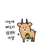 <b>스승</b>의날 돈 내는건 상관없음ㅇㅇ 근데