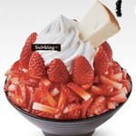 <b>설빙</b> 추반 좀