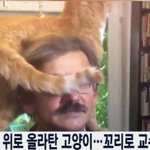 [댓글부탁해] 164 50인데 다이어트 어케해 도대체