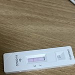 [댓글부탁해] 자가<b>키트</b> 색 왜이런지 봐줘ㅜㅜ