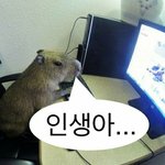 [NCT드림] ㅅㄷ 성적표 나오고 <b>go</b> 듣고잇는데