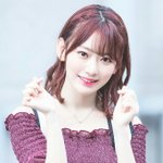 사쿠라 코가 문제임