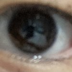 이건 무<b>쌍</b>임? <b>속</b><b>쌍</b>임?
